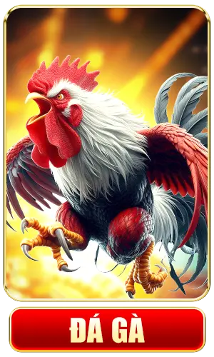ĐÁ GÀ
